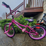 Freestyle Cool BIKE