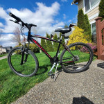 SCHWINN SIDEWINDER BIKE