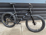 XL Salsa BearGrease with HED carbon wheels