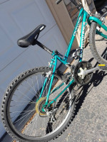 Mountain bike girls by diamondback