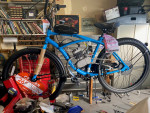 MOTORIZED BICYCLES