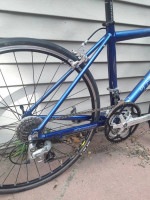 Trek 100
