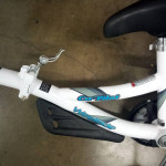 WeeRide Trial a bike ~ folding Co-Pilot