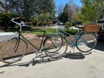 Linus Roadster Sport 3i and Mixte 3i