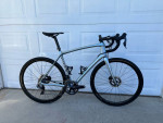 2020 Trek Emonda SLR Project One