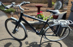 Giant Large Twist Freedom DX Electric Bicycle Ebike
