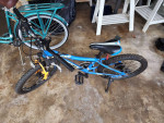 Youth bike - 7 speed