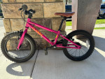 Cleary Hedgehog Kids Bike