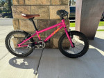 Cleary Hedgehog Kids Bike