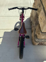 Cleary Hedgehog Kids Bike