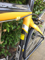 Upgraded Felt Fit 2009 Large Women's Race Bike ZW3