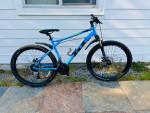 GT Mountain Bike Large