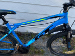 GT Mountain Bike Large