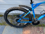 GT Mountain Bike Large