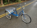 Schwinn Town and Country Trike
