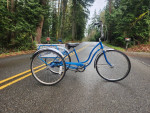 Schwinn Town and Country Trike