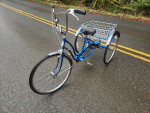 Schwinn Town and Country Trike