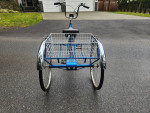 Schwinn Town and Country Trike
