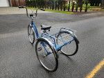 Schwinn Town and Country Trike