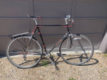 Schwinn Flat Bar Roadie