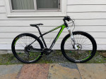Raleigh Full Carbon Fiber Mountain Bike