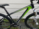Raleigh Full Carbon Fiber Mountain Bike