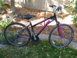 USED Schwinn Sidewinder Bike