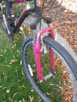 USED Schwinn Sidewinder Bike