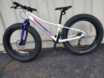 2021 Specialized  Fatboy 24 (4" tires)