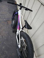 2021 Specialized  Fatboy 24 (4" tires)