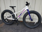 2021 Specialized  Fatboy 24 (4" tires)