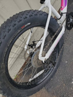2021 Specialized  Fatboy 24 (4" tires)