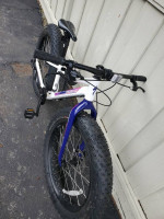 2021 Specialized  Fatboy 24 (4" tires)