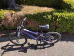 Cannondale Quick 20