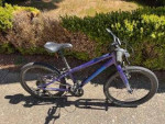 Cannondale Quick 20