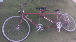 Assenmacher tanden bike