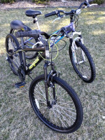 24" Schwinn mountain bike for girls, good condition