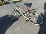 Land Rider Automatic Shift Bike
