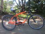 17in Med Kaluna Beach Cruiser