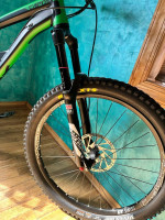 2016 YT carpra
