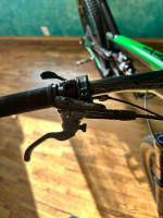 2016 YT carpra