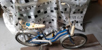 Schwinn Stingray & Lil Chik
