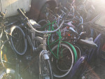 5 Beach Cruisers