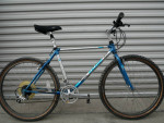 Old School Survivor! Beautiful Raleigh Technium Chill Mountain Bike