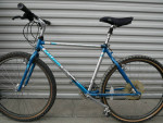Old School Survivor! Beautiful Raleigh Technium Chill Mountain Bike