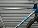 Old School Survivor! Beautiful Raleigh Technium Chill Mountain Bike