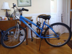 1Schwinn Skyliner Bike Bicycle