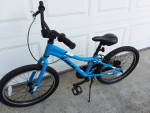 TREK PreCaliber 20in Blue, Age 6-11