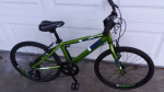 Diamondback Insight 20in  Age 6-11