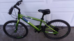 Diamondback Insight 20in  Age 6-11